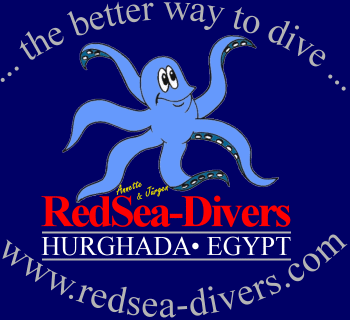 Tauchen in Hurghada / Aegypten mit RedSea-Divers. Hurgada,Hurghada, Aegypten, &Auml;gypten, Tauchen, tauchen, tauchen &Auml;gypten, tauchen Hurgada, tauchen Hurghada, Tauchausbildung, tauchausbildung, Tauchkurs, tauchkurs, Tauchkurse, tauchkurse, Tauchschule, Tauchschule Hurgada, Tauchschule Hurghada, tauchschule hurghada, Red Sea, redsea, redseadiver, redseadivers, Redsea-divers, RedSea-Divers, Rotes Meer, rotes meer, Rotes Mehr, rotes mehr, diver, divers, Last Minute, lastminute, last-minute, PADI, Padi, дайвинг в Hurghada / Египет с RedSea-Divers. Hurgada,Hurghada, diving in hurghada / egypt with RedSea-Divers. dive, diving, diving egypt, diving hurghada, divetraining, diving course, diveshool, divebase Hurgada, divebase Hurghada, 